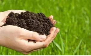 土壤中发现的对人体有益抗生素