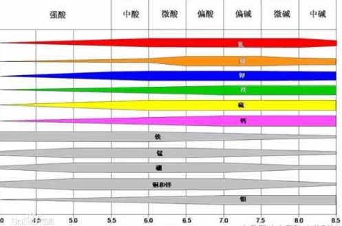 土壤酸碱度：深度剖析酸碱度对不同作物的影响