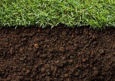 土壤酸碱度：深度剖析酸碱度对不同作物的影响