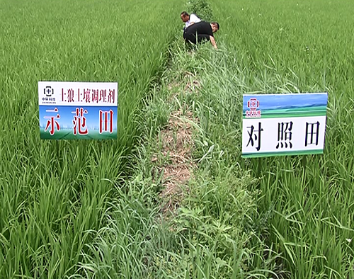 土狼以科技力量，深耕希望田野