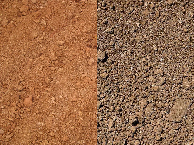 为什么土壤有不同的颜色？