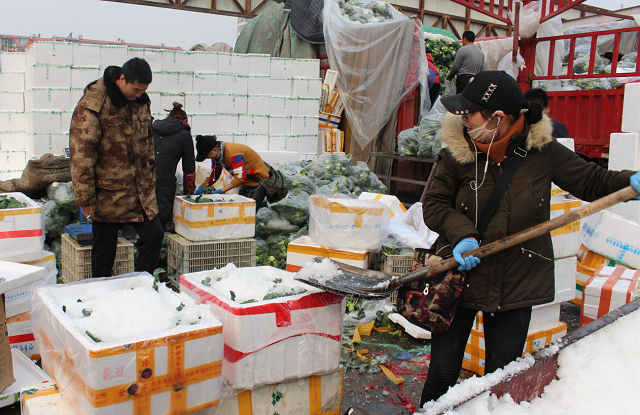 碳氢蔬菜林果粮食将统一标识有序进入中央批发市场交易平台