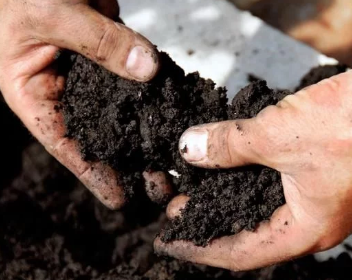 土壤酸碱度对作物生长影响很大，几个判断土壤酸碱性的方法