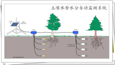 土层厚度、土壤质地、肥力、水、气、酸碱度等会影响果树的生长