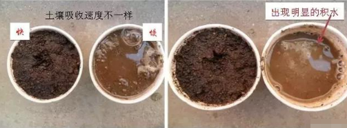 该醒醒了，种地不高产，不是化肥用少了！而是土壤病了！