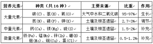 碳氢核肥是什么？