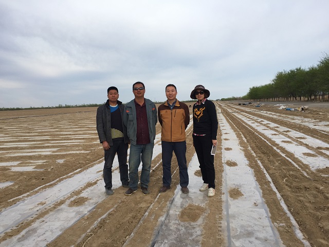 扎根田间地头，成都华宏团队真情助力新疆棉花产业增收 