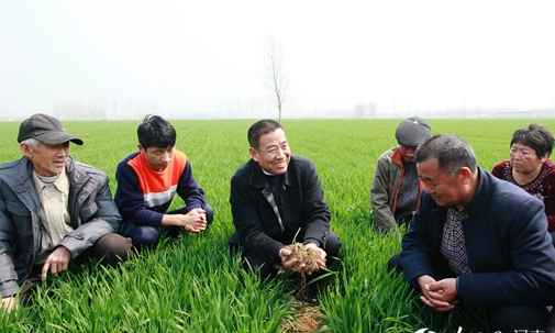 "土代表"党永富:好土壤才能让国人吃好粮