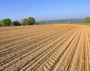 专家呼吁土壤修复治理应有综合性解决方案