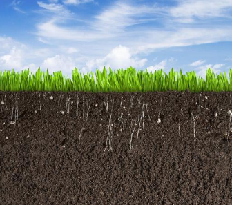 浅谈土壤有机质，什么是土壤有机质？