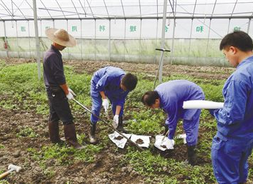 浙江加快土壤修复治理步伐