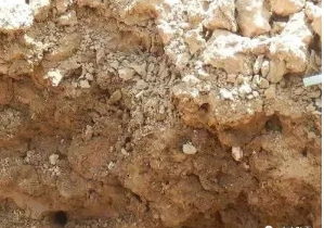 腐植酸是土壤的“脑黄金”，想要高产离不了它