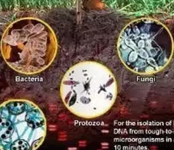恢复土壤环境微生物菌剂是如何做到的呢