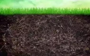 恢复土壤环境微生物菌剂是如何做到的呢