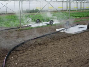 连作土壤带来的问题可不少，速学经济实惠消毒法！