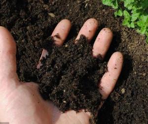 六大因素决定你的土壤状况和农产品品质