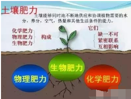 十大“土壤病”，你的地有几种？