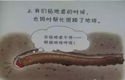 蚯蚓是改良土壤的“功臣！请不要让蚯蚓成为大熊猫！