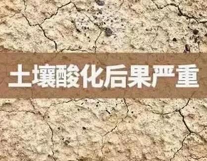 土壤问题有“八怪” 你家地里有这种情况吗？