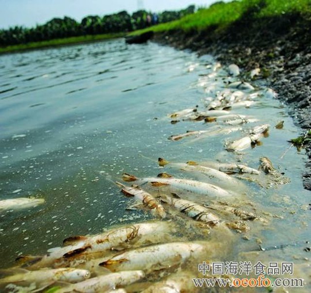  专访卓振智能蔡成想：增氧机控制器让水产养殖具有智慧