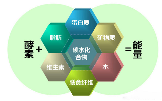  “多物”农用酵素问与答（一）