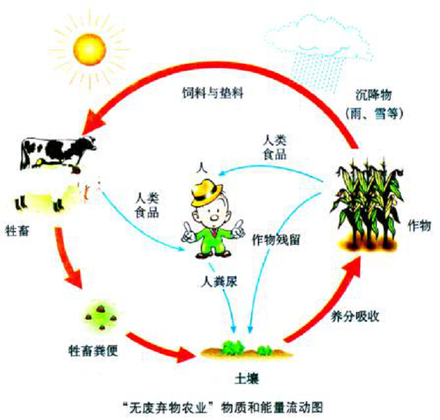  “多物”农用酵素问与答（一）