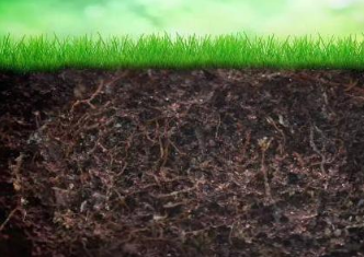 土壤坏了，种啥都不行，如何拯救被化肥“喂瘦”的土地？