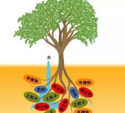 这么能干！除了促进作物生长，土壤微生物还能降解农药，样样在行