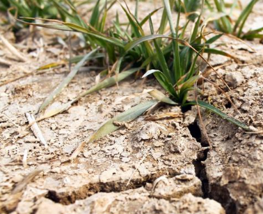 提高土壤持续供肥能力的几点措施！