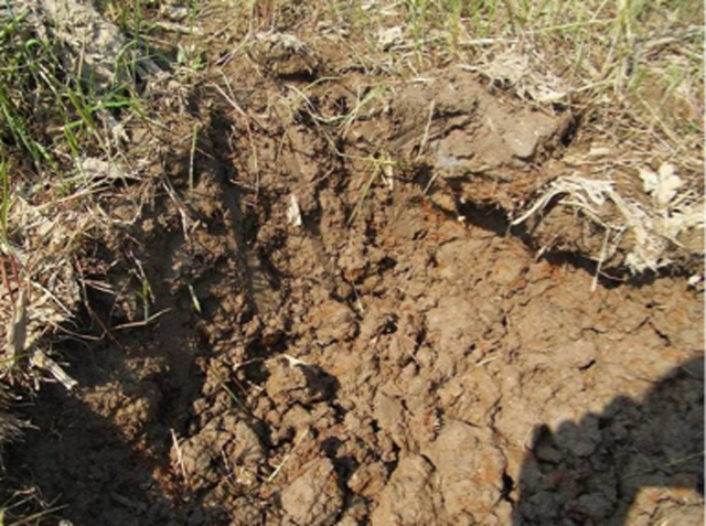 土壤也要解毒，该如何处理？