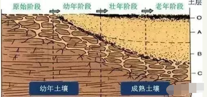 要当心了！不解决土壤十大问题，有地也将无法耕种据国家环保部2016年《全国土壤污染状况调查公报》显示，全