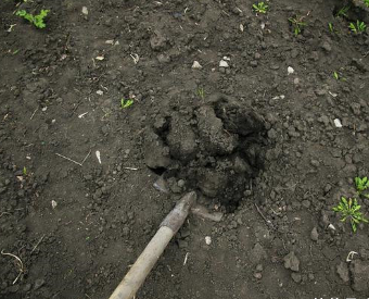 你知道不起眼的土壤疏松有哪些作用吗？