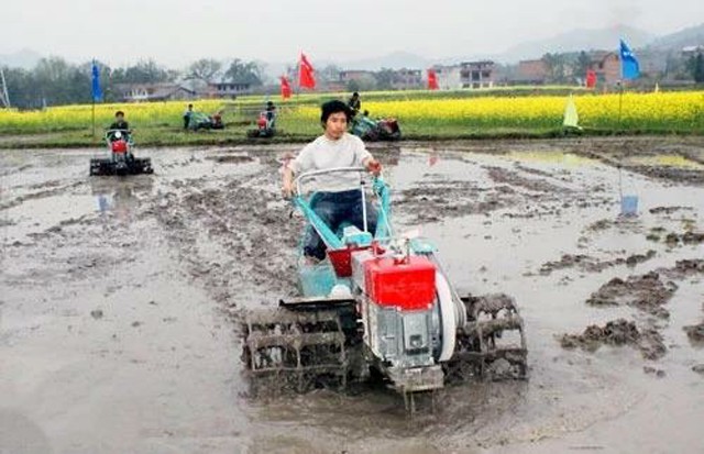 首届“中国农民丰收节”江西系列活动即将开启