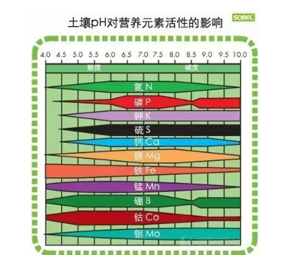 土壤病了，你用再多的肥料都是白瞎！