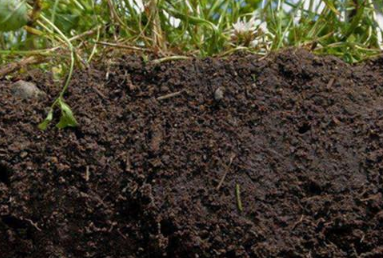 如何增加土壤酸性