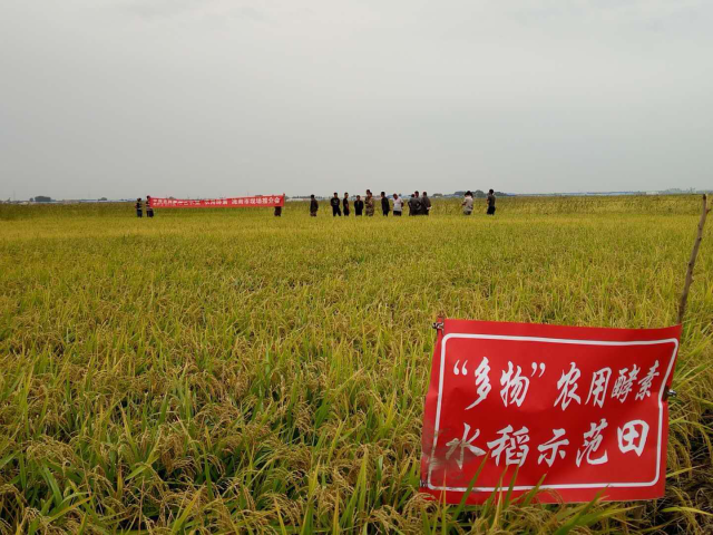 习总书记视察黑龙江建三江农垦七星农场