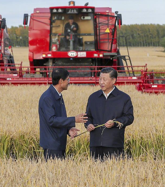 习总书记视察黑龙江建三江农垦七星农场酵素水稻试验种植基地