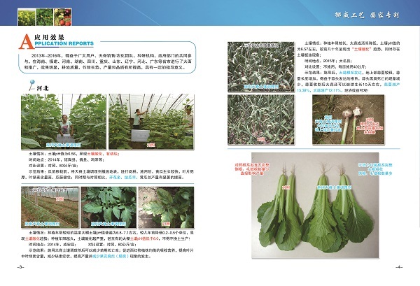 天脊土壤调理剂备受广大用户青睐
