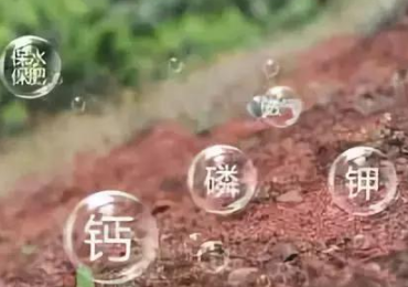 什么是土壤有机质？90%的人都不知道！
