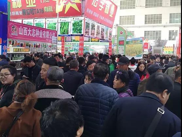 2018第二十四届哈尔滨种业博览会圆满举办！喜迎四大突破！