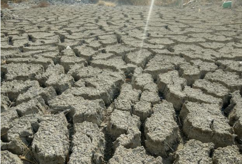 一张图告诉你沙土、壤土、黏土土壤性质及施肥方式！土壤质地一般分为了沙土、壤土、黏土，也有介于这些质地