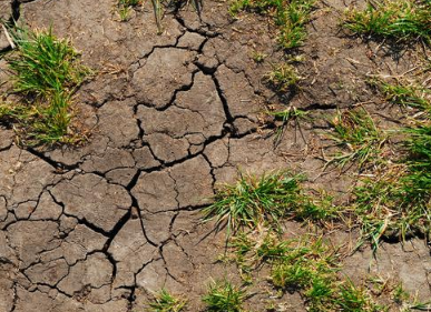 土壤问题爆发，罪魁祸首真的只是肥料和农药吗？