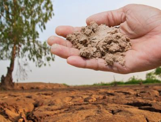 土壤改良，只需做好6件事！科学、合理使用正规肥料产品