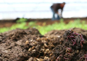 为什么有益微生物能够延长土壤的使用寿命，是土壤更富“活力”？