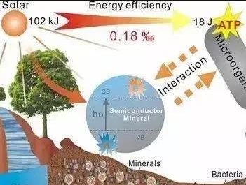 为什么有益微生物能够延长土壤的使用寿命，是土壤更富“活力”？