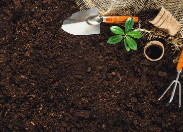 土壤有机质的作用大，如何才能增加土壤有机质？