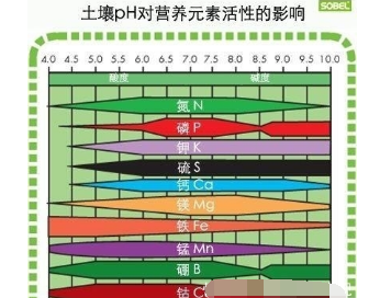 农技小知识: 石灰调节土壤酸性要注意, 可能导致土壤缺铁