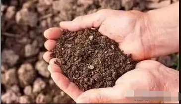 没有 “好土壤”，就没有 “好果子”，教你10招辨别土壤
