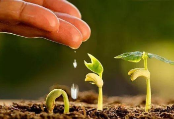 土壤改良，不是你想改就能改的！