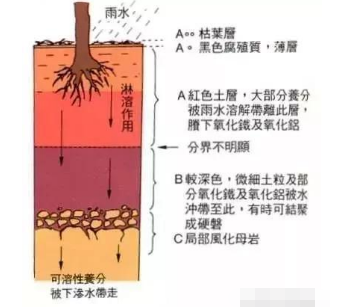 果园土壤改良方案 这回说的最靠谱！土壤管理是农业生产中非常重要的一环，对果园来说尤其重要。土壤质地、